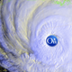 Illustration for article titled OnStar Helps 3,000 Per Hour Get Out Of Hurricane Gustavs Way